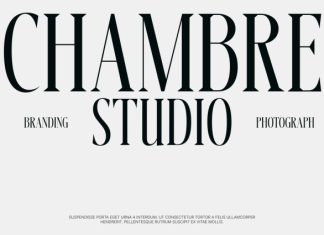 CS Basilio – Condensed Serif Font preview image 3