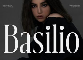 CS Basilio – Condensed Serif Font preview image 1