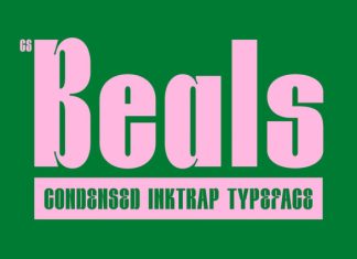 CS Beals – Inktrap Font preview image 1