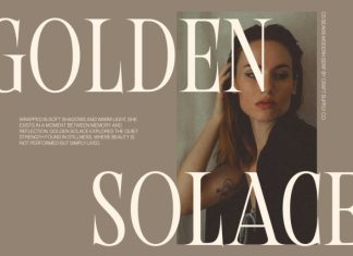 CS Beavis – Modern Serif Font preview image 3