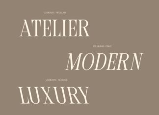 CS Beavis – Modern Serif Font preview image 2