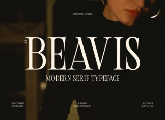 CS Beavis – Modern Serif Font preview image 1