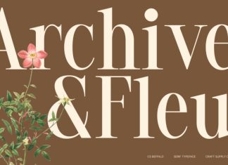 CS Beffalo – Elegant Serif Font preview image 3