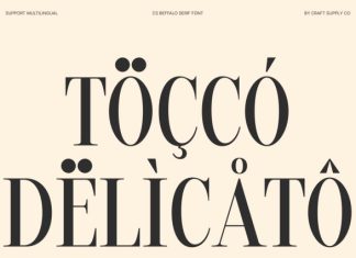 CS Beffalo – Elegant Serif Font preview image 2
