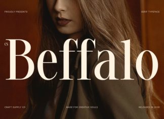 CS Beffalo – Elegant Serif Font preview image 1