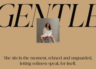 CS Beguile – Modern Serif Font preview image 3