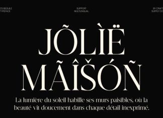 CS Beguile – Modern Serif Font preview image 2
