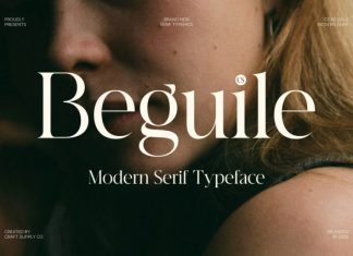 CS Beguile – Modern Serif Font preview image 1