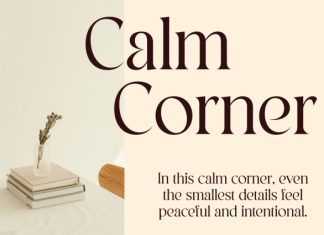 CS Bellara – Modern Serif Font preview image 3