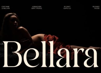 CS Bellara – Modern Serif Font preview image 1
