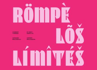 CS Benoit – Bold Sans Serif Font preview image 3