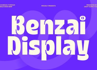 CS Benzai – Inktrap Font preview image 1