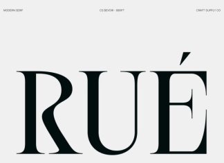 CS Bevoir – Modern Serif Font preview image 3