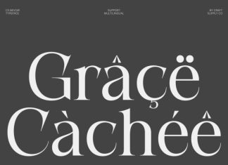 CS Bevoir – Modern Serif Font preview image 2
