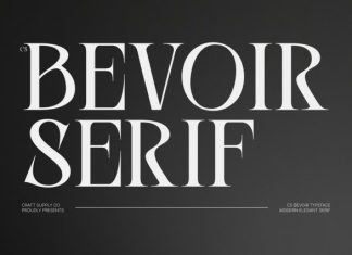 CS Bevoir – Modern Serif Font preview image 1
