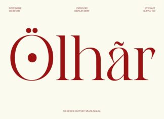 CS Bifore – Classic Serif Font preview image 3