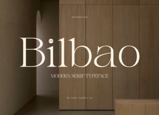 CS Bilbao – Modern Serif Font preview image 1