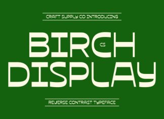 CS Birch Demo Font preview image 1