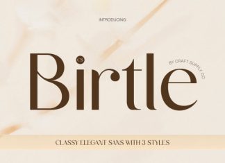 CS Birtle – Classy Sans Serif Font preview image 1