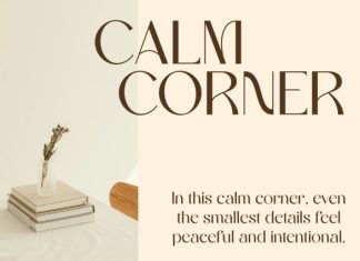 CS Birtle – Classy Sans Serif Font preview image 2