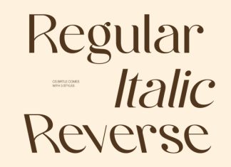 CS Birtle – Classy Sans Serif Font preview image 3