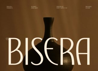 CS Bisera – Modern Sans Serif Font preview image 1