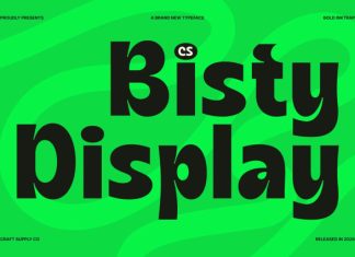 CS Bisty – Inktrap Font preview image 1