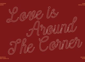 CS Blossom Dashed Font preview image 3