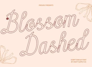 CS Blossom Dashed Font preview image 1