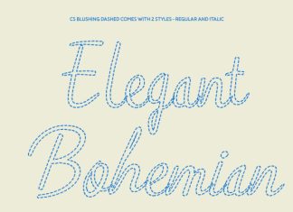 CS Blushing Dashed Font preview image 2