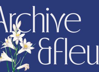 CS Blythe – Stylish Serif Font preview image 3