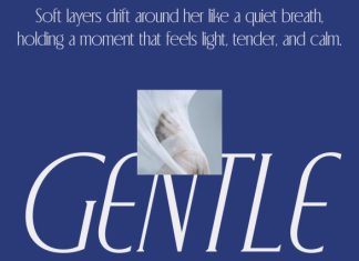 CS Blythe – Stylish Serif Font preview image 2