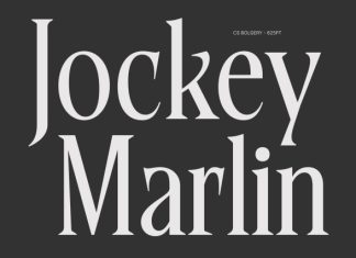 CS Bolgery – Elegant Serif Font preview image 2