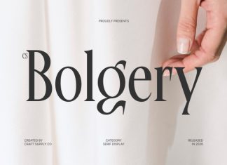 CS Bolgery – Elegant Serif Font preview image 1