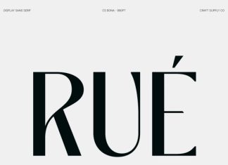 CS Bona – Modern Sans Serif Font preview image 2