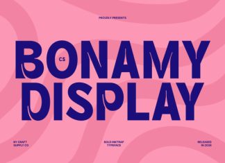 CS Bonamy – Inktrap Font preview image 1