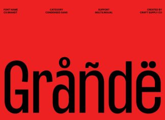 CS Brandt – Condensed Font preview image 2