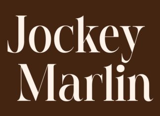 CS Brenan – Modern Serif Font preview image 2