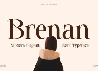 CS Brenan – Modern Serif Font preview image 1