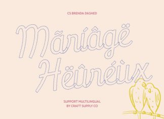 CS Brenda Dashed Font preview image 2