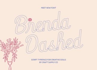 CS Brenda Dashed Font preview image 1