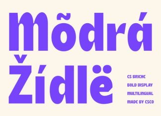 CS Briche – Bold Sans Serif Font preview image 3