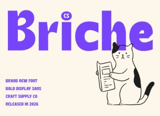 CS Briche – Bold Sans Serif Font preview image 2