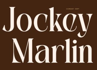 CS Brigant – Modern Serif Font preview image 2