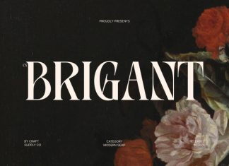 CS Brigant – Modern Serif Font preview image 1