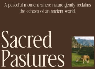 CS Brings – Elegant Serif Font preview image 3