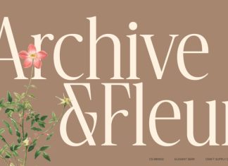CS Brings – Elegant Serif Font preview image 2