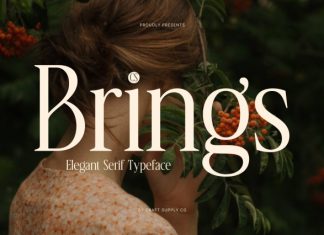 CS Brings – Elegant Serif Font preview image 1