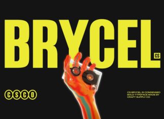 CS Brycel – Condensed Font preview image 3