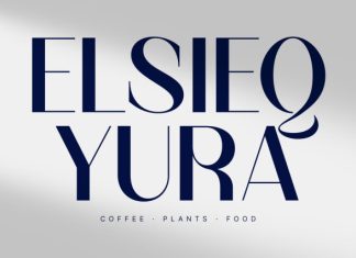CS Cardia – Elegant Sans Serif Font preview image 3